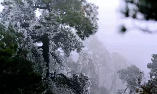 大叔钓鱼
